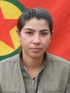 Gulistan Çiya - Newroz Buzî