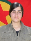 Bêrîvan Gever – Rena Atilla