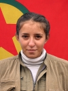 Rojevin Koçer - Dicle Ter