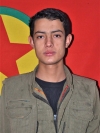 Cîger Efrîn - Mustafa Bekrî