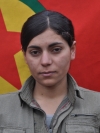 Sarya Kobane - Nesrin Haci Ahmet