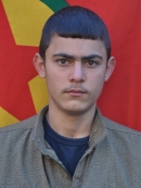 Bahoz Mijînî - Mücahit Tok