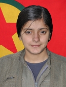 Xemlin Colemerg - Bilge İncin