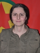 Berçem Herekol Şîrvan - Nefise Ongulu