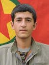Rojdi Amed - Mehdin Tekel