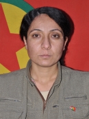 Zınarin Kobani - Narin Oso