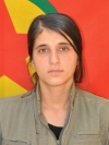 Sarîna Amed - Cahide Çetin