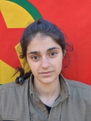 Baharin Cudi - Bişeng Tokak