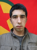 Navdar Fis - Rojhat Fidan