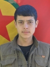 Agit Kobani - Mahmut Muhammed
