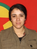 Eylem Ronî - Dilvîn Ato