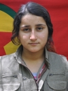 Sozdar Ronî – Sevda Yağan