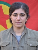 Arîn Hezex - Şükran Alp