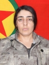 Amara Amed - Ayşe Toprak