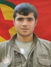 Serdem Wan – Welat Hazır