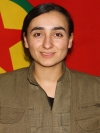 Gulbahar Çirav - Zozan Şalcı