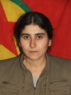 Stêra Ararat - Esma Özkan
