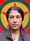 Melsa Kobani - Leyla Şexe