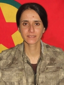 Ekin Amanos – Çinar Ahmed