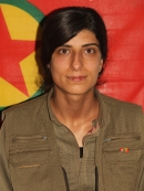 Medya Özgür - Havva Alkan