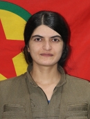 Şevîn Şemzînan - Zozan Erenç