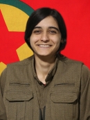 Viyan &Ouml;zg&uuml;r - Serkeftin Demir