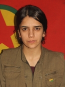 Doğa Viyan - Gulbahar Hizmali