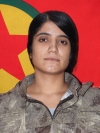 Ş&icirc;lan &Ccedil;iya &ndash; Emine Halila