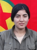 Rosîda Dîcle - Zîlan Duman