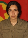 Besê Têkoşîn – Zehra Zelal Araz