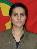 Gulaber Sîwerek - Dilber Kanat