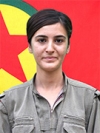 Roza Serhat - Leyla Boran
