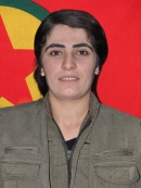 Avaşîn İntikam – Zeynep Ersönmez