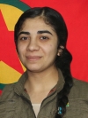 Pelşîn Newroz - Gulistan Orçun