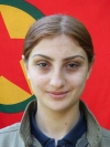 Arjîn Sarya - Şehrîban Tekmenüray