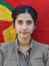 Sarina Sarya - Şinyar Kawa